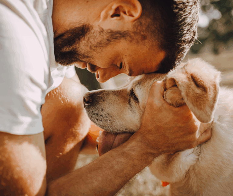 apprentissage du calme et de l’obéissance chien avec Educ Your Doggo à Nemours et Pithiviers