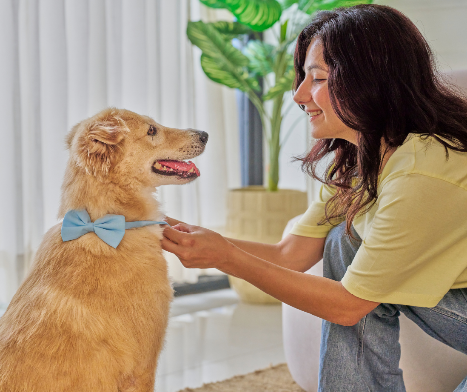 Chien détendu et serein chez lui grâce à une visite personnalisée d’Educ Your Doggo.