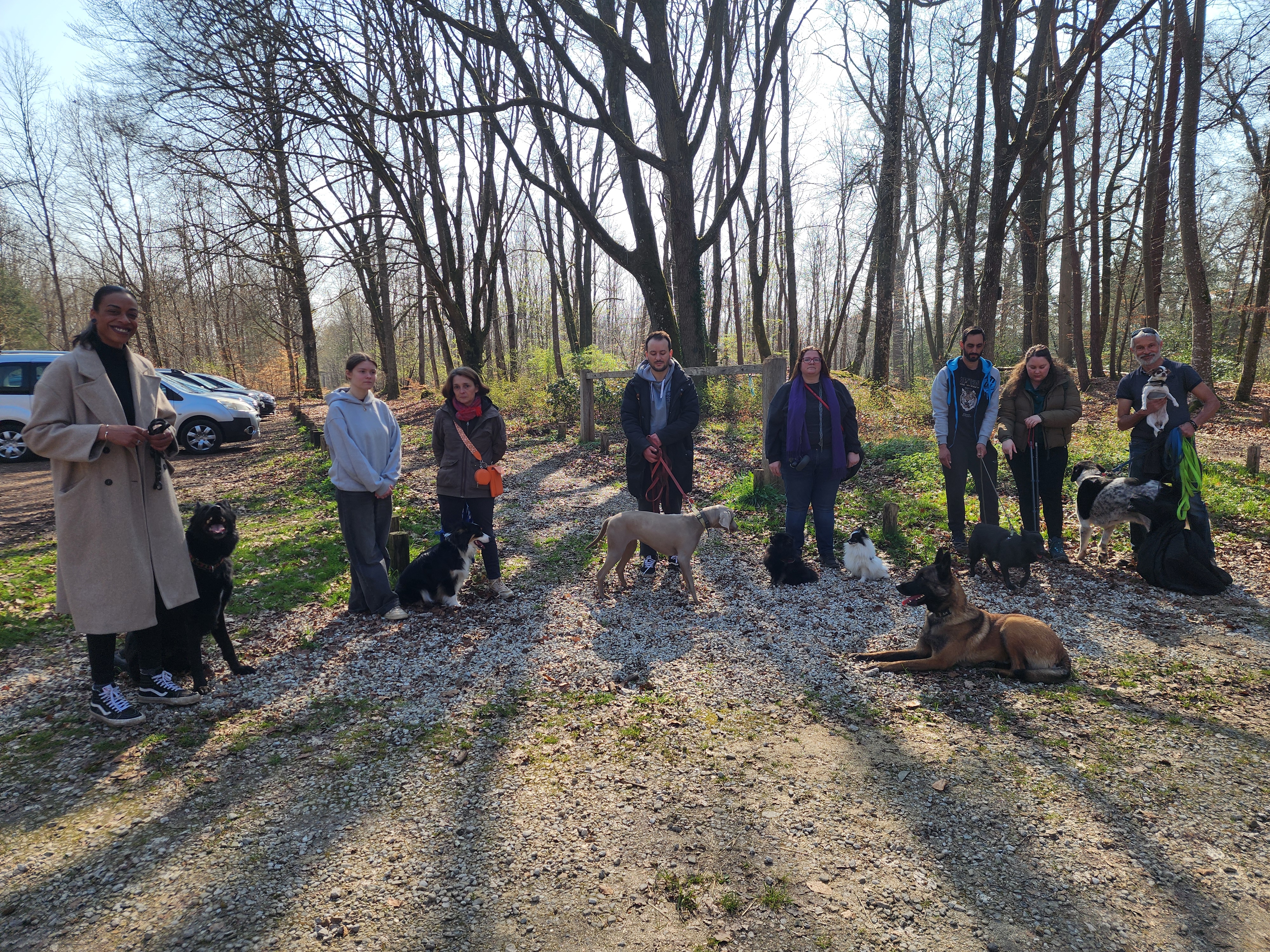 cours collectif educ your doggo éducatrice canin